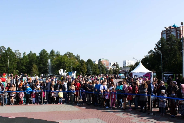 Артишок 2018 - 3